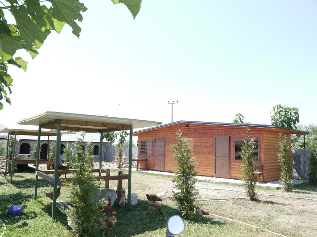 Windmill Shkodra Gesthouse Camping & Grill Ngoại thất bức ảnh